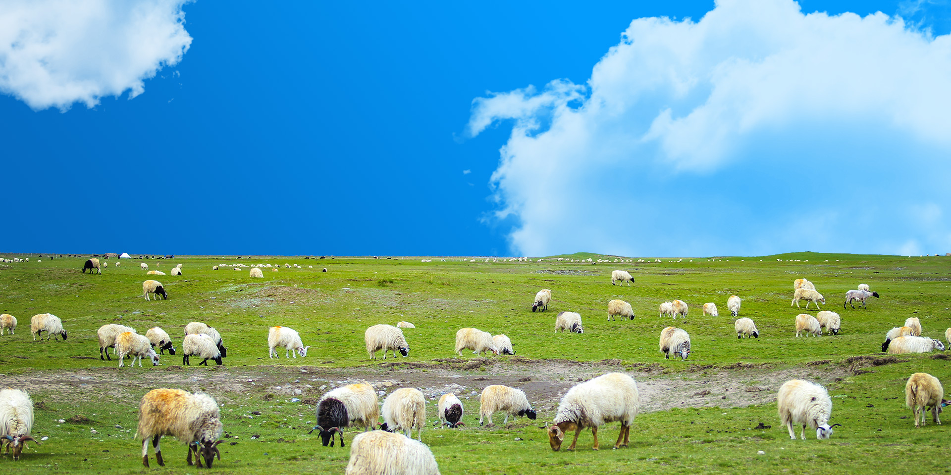 極深研幾 · 點(diǎn)石成金